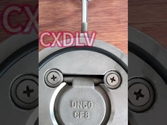 válvula de verificação de balanço de disco único para wafer industrial