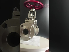 Volante SS da gaxeta 150LB de PTFE válvula de globo flangeada 3 polegadas