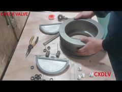 Montagem da Válvula de Retenção de Dupla Placa Wafer