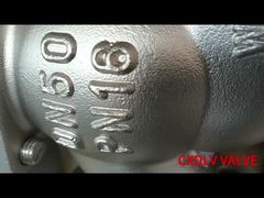 DN50 DN80 DN100 Glóbulos de aço inoxidável para parar o levantamento da válvula de verificação