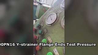Pressão de teste da carcaça para filtro Y de extremidades de flange